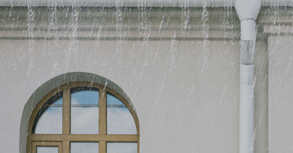 Services 55 SmartCare Damp Proof-RangRoganWala